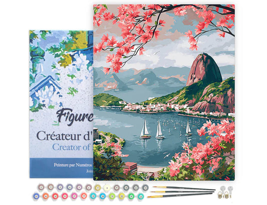 Peinture par numéro 40x50cm - Port de Rio