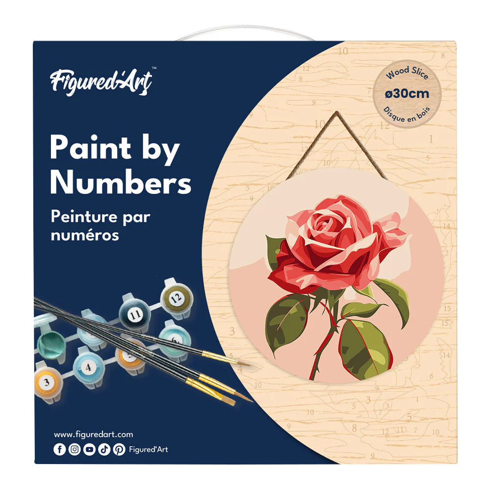 Peinture par numéro sur disque bois - Superbe rose